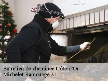 Entretien de cheminée 21 Côte-d'Or  Michelet Ramonage 21