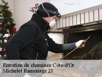 Entretien de cheminée 21 Côte-d'Or Michelet Ramonage 21