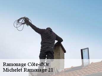 Ramonage 21 Côte-d'Or  Michelet Ramonage 21