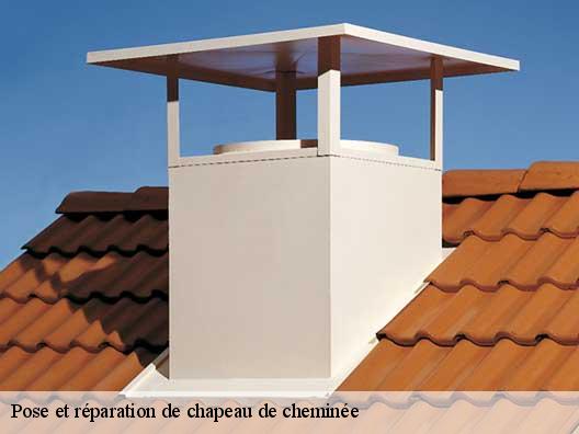 Pose et réparation de chapeau de cheminée