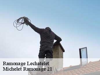 Ramonage  lechatelet-21250 Michelet Ramonage 21