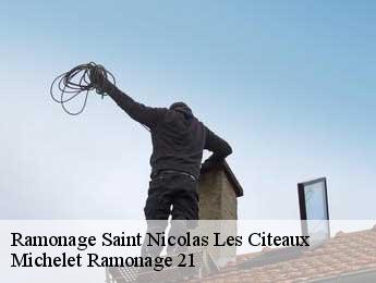 Ramonage  saint-nicolas-les-citeaux-21700 Michelet Ramonage 21