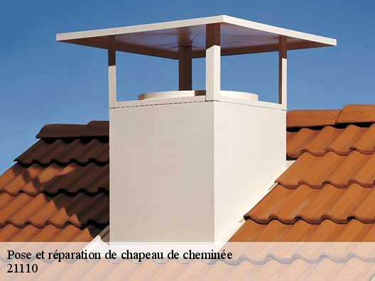 Pose et réparation de chapeau de cheminée 21110