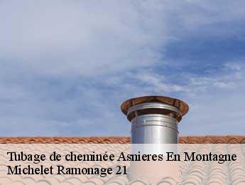 Tubage de cheminée asnieres-en-montagne-21500 Michelet Ramonage 21