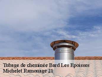 Tubage de cheminée  bard-les-epoisses-21460 Michelet Ramonage 21