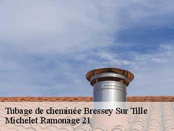 Tubage de cheminée  bressey-sur-tille-21560 Michelet Ramonage 21