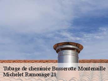 Tubage de cheminée  busserotte-montenaille-21580 Michelet Ramonage 21