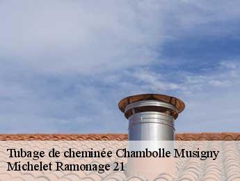 Tubage de cheminée chambolle-musigny-21220 Michelet Ramonage 21
