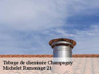 Tubage de cheminée  champagny-21440 Michelet Ramonage 21