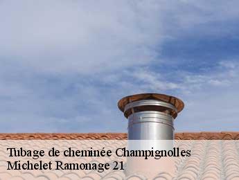 Tubage de cheminée  champignolles-21230 Michelet Ramonage 21