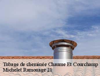 Tubage de cheminée  chaume-et-courchamp-21610 Michelet Ramonage 21