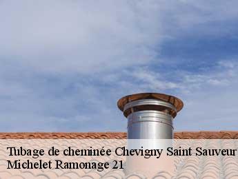 Tubage de cheminée chevigny-saint-sauveur-21800 Michelet Ramonage 21