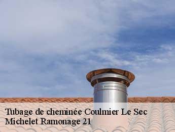 Tubage de cheminée  coulmier-le-sec-21400 Michelet Ramonage 21