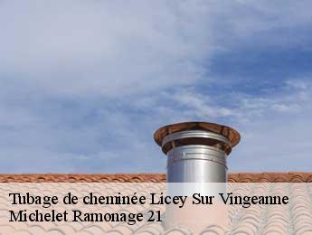 Tubage de cheminée  licey-sur-vingeanne-21610 Michelet Ramonage 21