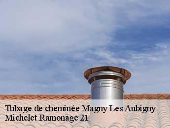 Tubage de cheminée  magny-les-aubigny-21170 Michelet Ramonage 21