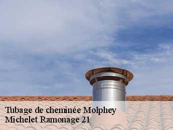 Tubage de cheminée  molphey-21210 Michelet Ramonage 21