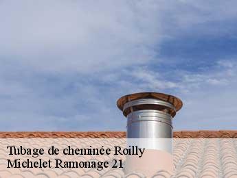 Tubage de cheminée  roilly-21390 Michelet Ramonage 21
