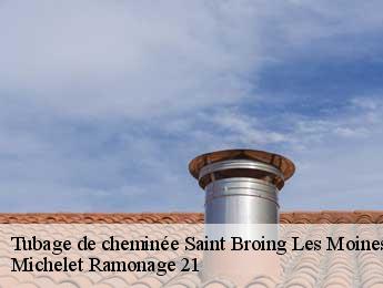 Tubage de cheminée  saint-broing-les-moines-21290 Michelet Ramonage 21