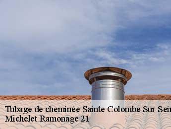 Tubage de cheminée  sainte-colombe-sur-seine-21400 Michelet Ramonage 21
