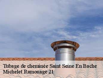 Tubage de cheminée  saint-seine-en-bache-21130 Michelet Ramonage 21