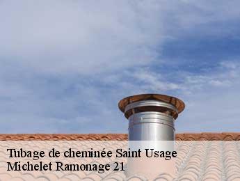 Tubage de cheminée saint-usage-21170 Michelet Ramonage 21