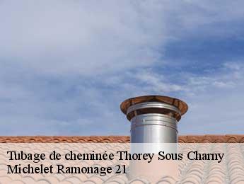 Tubage de cheminée  thorey-sous-charny-21350 Michelet Ramonage 21