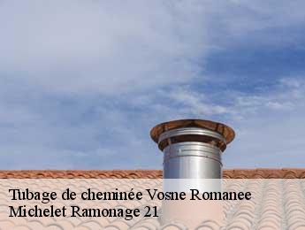 Tubage de cheminée vosne-romanee-21700 Michelet Ramonage 21