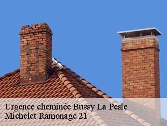 Urgence cheminée  bussy-la-pesle-21540 Michelet Ramonage 21