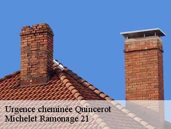 Urgence cheminée  quincerot-21500 Michelet Ramonage 21