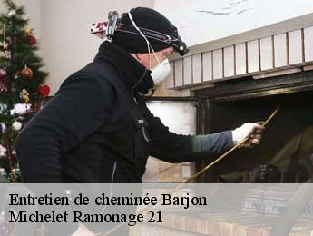 Entretien de cheminée  barjon-21580 Michelet Ramonage 21