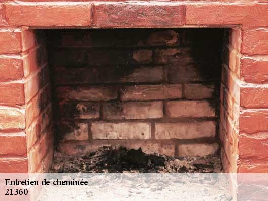 Entretien de cheminée 21360