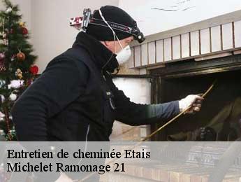 Entretien de cheminée  etais-21500 Michelet Ramonage 21