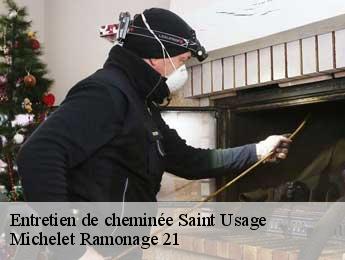 Entretien de cheminée saint-usage-21170 Michelet Ramonage 21