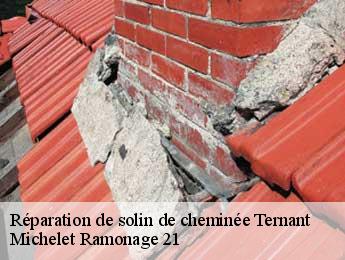 Réparation de solin de cheminée ternant-21220 Michelet Ramonage 21